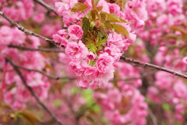 常州新北区3线下个人借款平台一站式服务，轻松解决资金难题