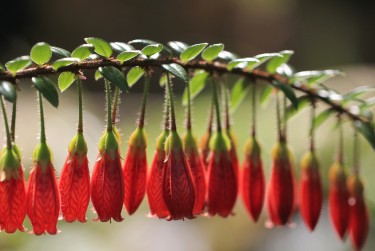 常州新北区3零用贷短借：轻松解决临时资金需求