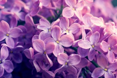 常州新北区3企业急用钱贷款攻略：快速融资解燃眉之急